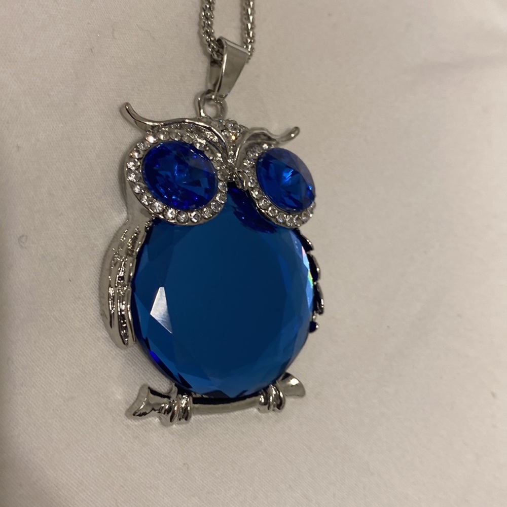 Owl necklace long chain pendant silver blue. New